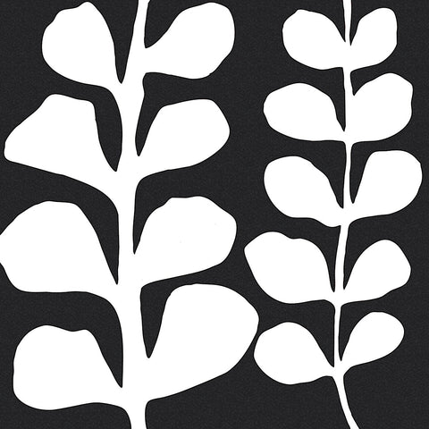 Maidenhair (white on black) -  Denise Duplock - McGaw Graphics