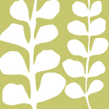 White Fern on Green -  Denise Duplock - McGaw Graphics