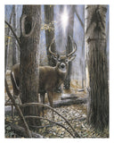 Woodland Sentry -  Kevin Daniel - McGaw Graphics