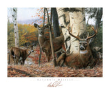 Autumn’s Majesty -  Kevin Daniel - McGaw Graphics