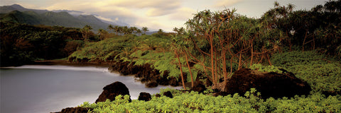 Haleakala Rim -  Susan Drinker - McGaw Graphics