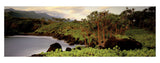 Haleakala Rim -  Susan Drinker - McGaw Graphics