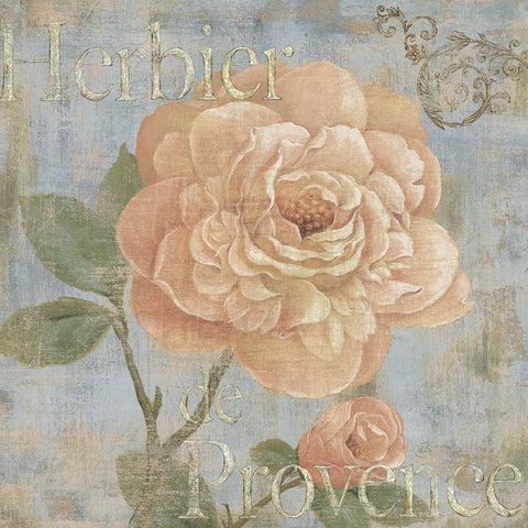 Vintage Fragrance II -  Daphné B - McGaw Graphics
