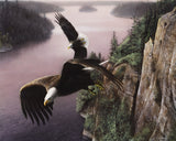 Wings Over the St. Croix -  Kevin Daniel - McGaw Graphics