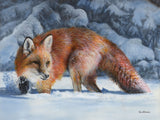 Fox at the Pines -  Kevin Daniel - McGaw Graphics