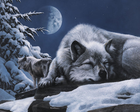 Sleepless Night -  Kevin Daniel - McGaw Graphics