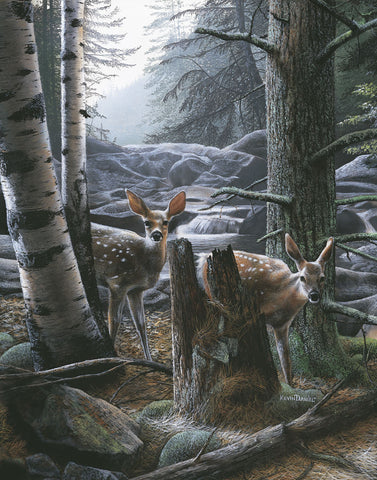 White Tail Fawns -  Kevin Daniel - McGaw Graphics