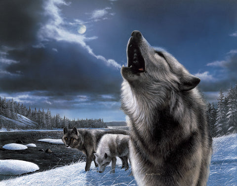 Howling Wolf -  Kevin Daniel - McGaw Graphics