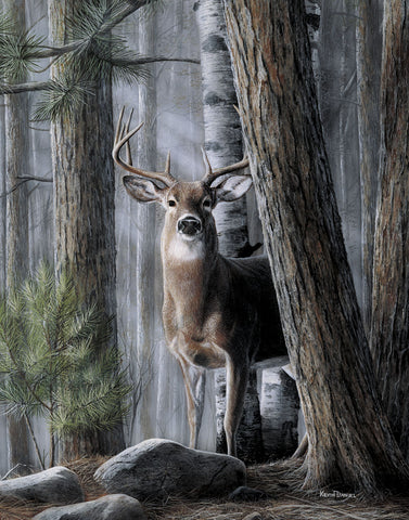 Solitary Buck -  Kevin Daniel - McGaw Graphics