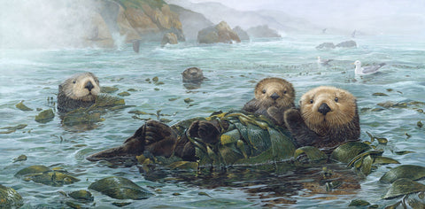 Carmel Coast Otters -  John Dawson - McGaw Graphics