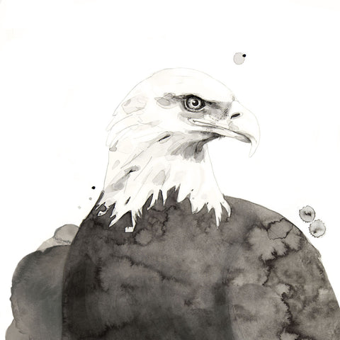 Eagle -  Philippe Debongnie - McGaw Graphics