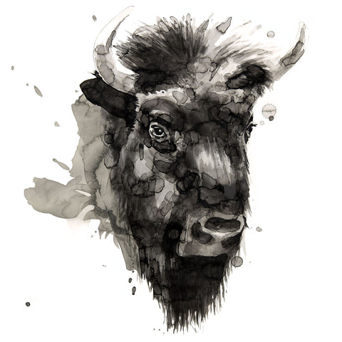 Buffalo -  Philippe Debongnie - McGaw Graphics