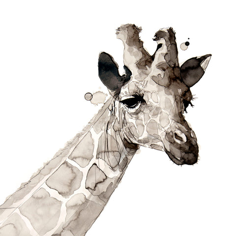 Giraffe -  Philippe Debongnie - McGaw Graphics