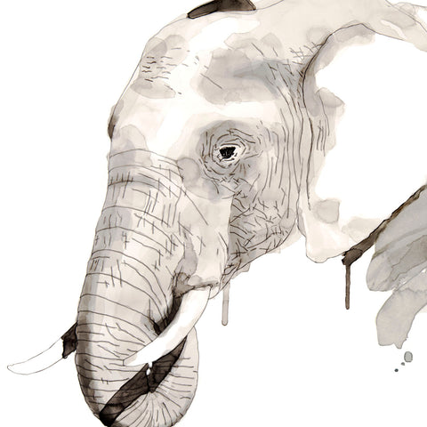 Elephant -  Philippe Debongnie - McGaw Graphics