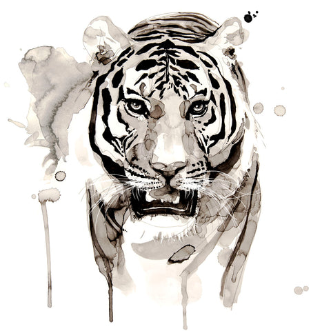 Tiger -  Philippe Debongnie - McGaw Graphics