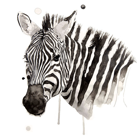 Zebra II -  Philippe Debongnie - McGaw Graphics