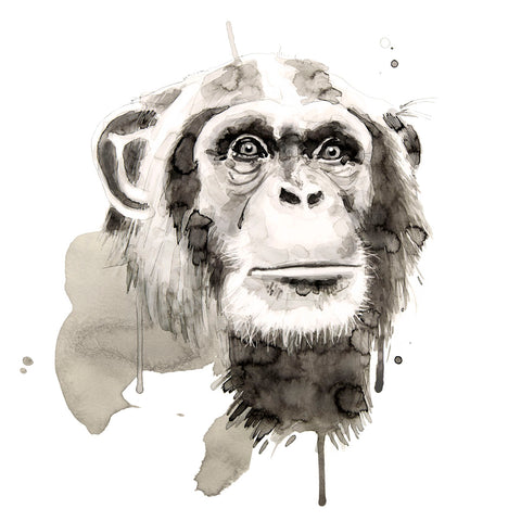 Chimp -  Philippe Debongnie - McGaw Graphics