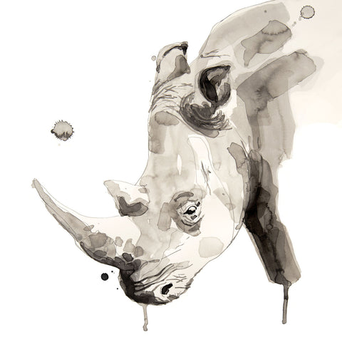 Rhino -  Philippe Debongnie - McGaw Graphics