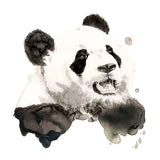 Panda -  Philippe Debongnie - McGaw Graphics
