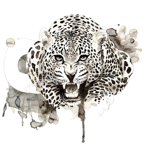 Leopard -  Philippe Debongnie - McGaw Graphics