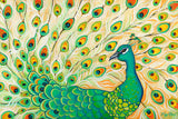 Pretty Pretty Peacock -  Peggy Davis - McGaw Graphics