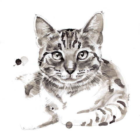 Cat -  Philippe Debongnie - McGaw Graphics