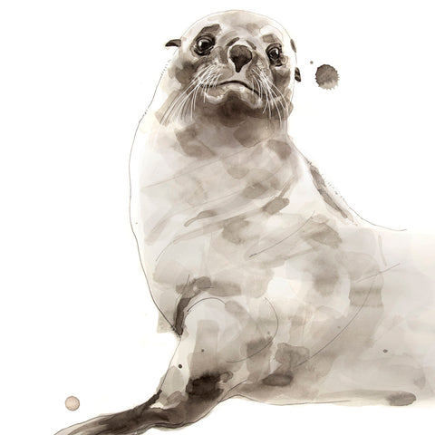 Seal -  Philippe Debongnie - McGaw Graphics