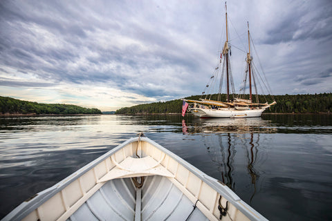 Pretty Marsh Morning Row -  Jim Dugan - McGaw Graphics