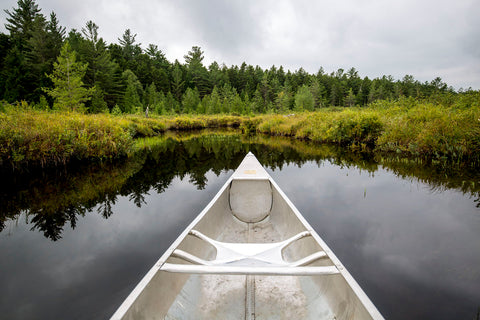 Lily Pond -  Jim Dugan - McGaw Graphics