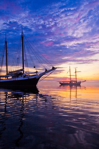 Schooners Victory Chimes and American Eagle at Sunrise, Rockland, Maine -  Jim Dugan - McGaw Graphics