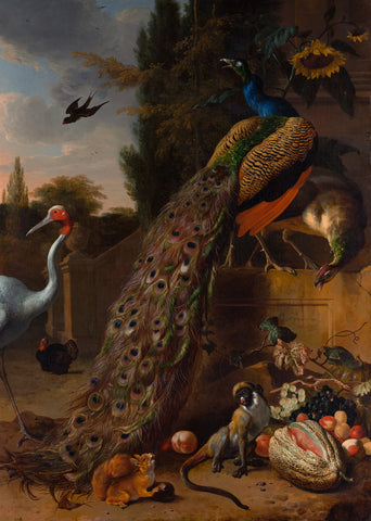 Peacocks, 1683 -  Melchior d'Hondecoeter - McGaw Graphics