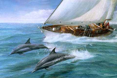 Sailing the Wind -  Kevin Daniel - McGaw Graphics