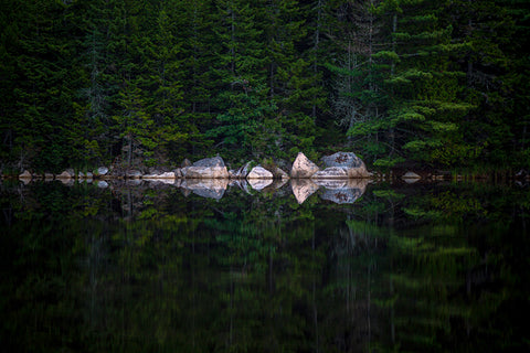 Morning on the Pond -  Jim Dugan - McGaw Graphics