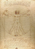 Vitruvian Man -  Leonardo da Vinci - McGaw Graphics