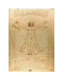 Vitruvian Man -  Leonardo da Vinci - McGaw Graphics