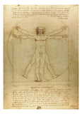 Vitruvian Man -  Leonardo da Vinci - McGaw Graphics