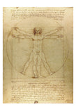 Vitruvian Man -  Leonardo da Vinci - McGaw Graphics