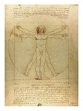 Vitruvian Man -  Leonardo da Vinci - McGaw Graphics