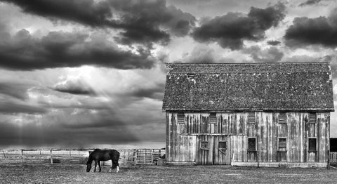 Horse and Barn -  Trent Foltz - McGaw Graphics