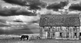 Horse and Barn -  Trent Foltz - McGaw Graphics