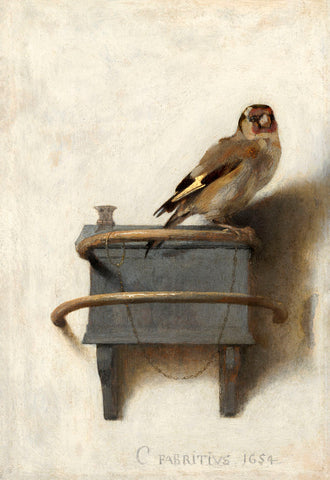 The Goldfinch, 1654 -  Carel Fabritius - McGaw Graphics