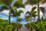 Paradise Path -  Dennis Frates - McGaw Graphics