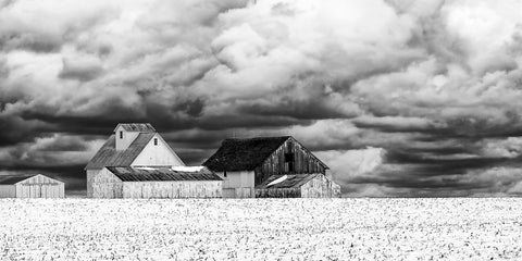 Five White Barns