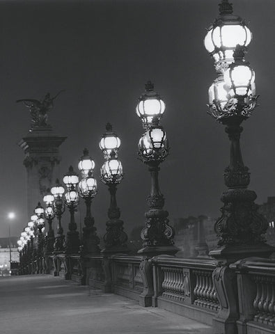 Pont Alexandre III -  Matthew Fuller - McGaw Graphics