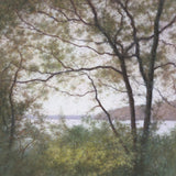 Lakeside Trees I -  John Folchi - McGaw Graphics