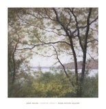 Lakeside Trees I -  John Folchi - McGaw Graphics