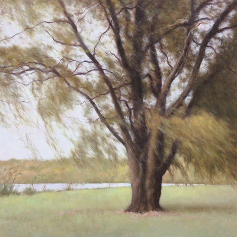 Lakeside Trees II -  John Folchi - McGaw Graphics