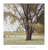 Lakeside Trees II -  John Folchi - McGaw Graphics