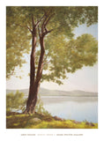 Sunlit Trees I -  John Folchi - McGaw Graphics