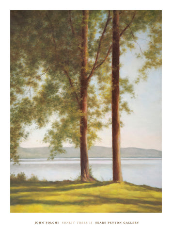 Sunlit Trees II -  John Folchi - McGaw Graphics